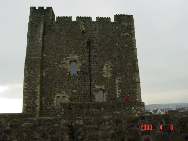 Photograph